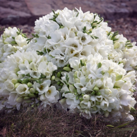 bouquet